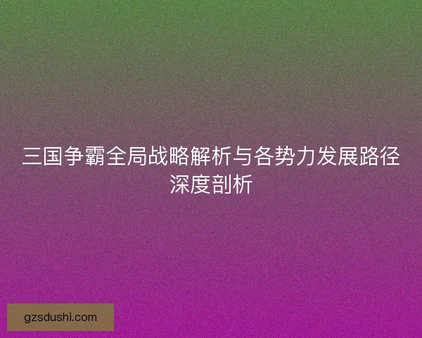 三国争霸全局战略解析与各势力发展路径深度剖析