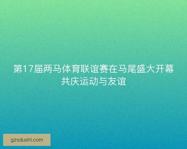第17届两马体育联谊赛在马尾盛大开幕共庆运动与友谊