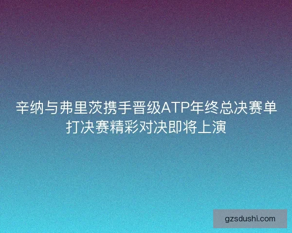 辛纳与弗里茨携手晋级ATP年终总决赛单打决赛精彩对决即将上演